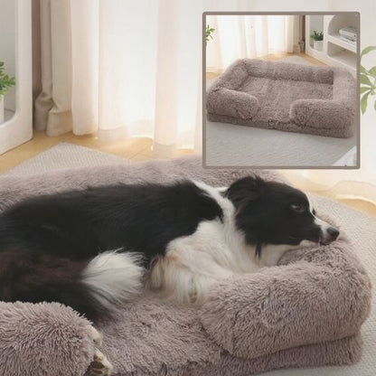 border collie couché dans panier chien marron clair rectangle