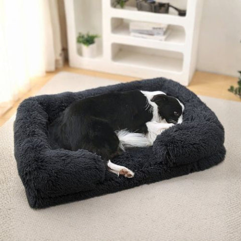 border collie couché dans panier chien noir rectangle