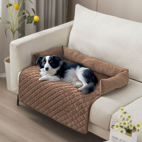 border collie couché sur canapé lit pour chien marron douni