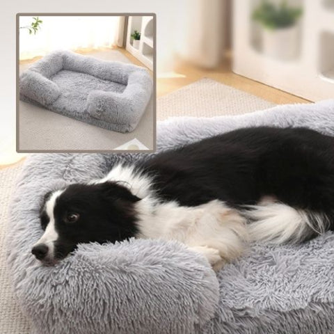 border collie endormi dans panier chien gris clair rectangle