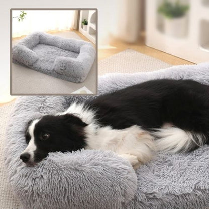 border collie endormi dans panier chien gris clair rectangle