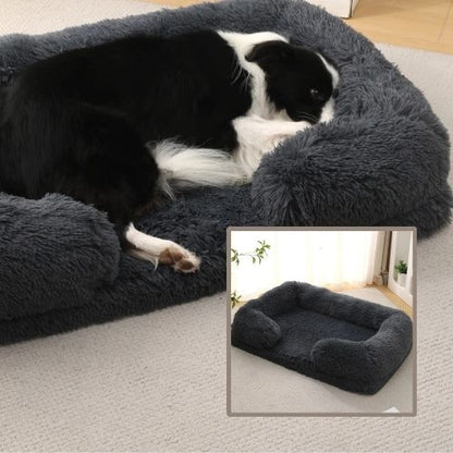 border collie endormi dans panier chien noir rectangle