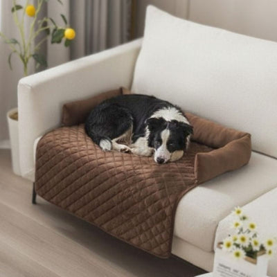 border collie endorm sur canape lit pour chien marron douni