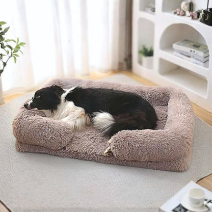 border collie reposant dans panier chien marron clair rectangle