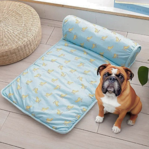 bouledogue anglais assis près tapis pour chien rafraichissant bleu chouchou