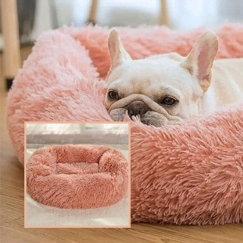 bouledogue couché sur coussin pour chien rose peluche douce