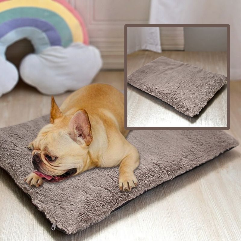 bouledogue-francais-allonge-sur-coussin-pour-chien-marron