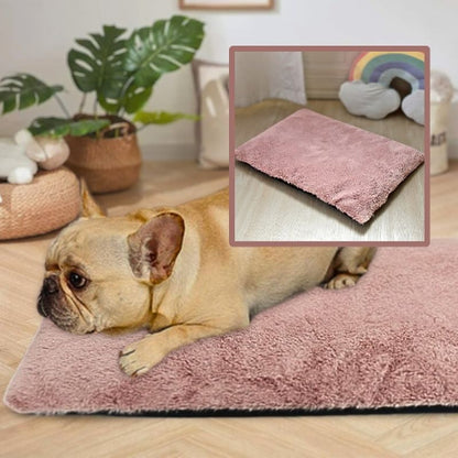 bouledogue français allongé sur coussin pour chien rose polaire