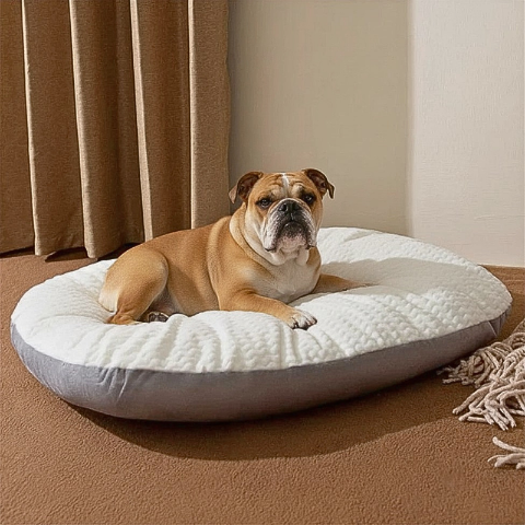 bouledogue français allongé sur matelas pour chien blanc gris nuagio