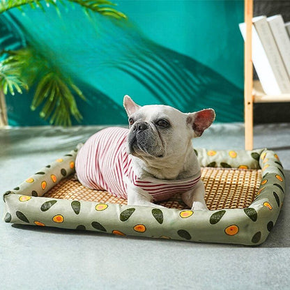 bouledogue francais allongé sur tapis pour chien rafraichissant vert rotini