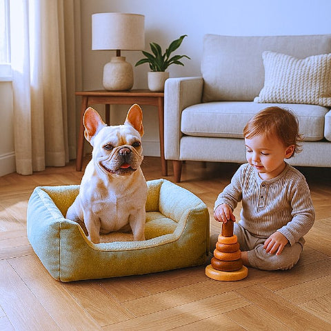 bouledogue français assis dans lit pour chien anti-stress loulou