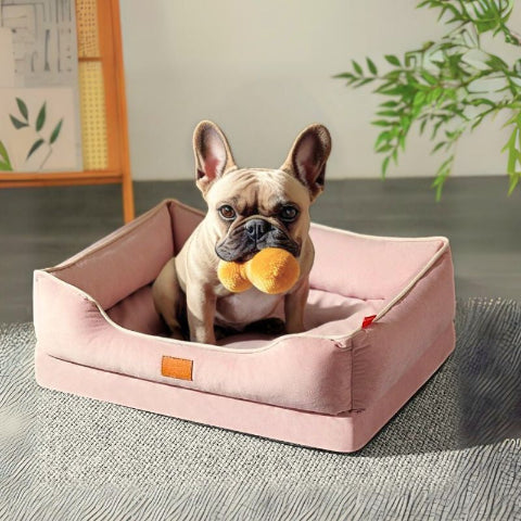 bouledogue français assis dans lit pour chien rose holar