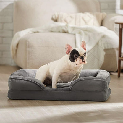 bouledogue français assis sur canapé chien gris calinou