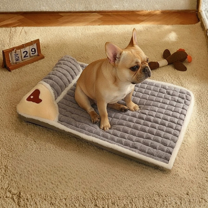 bouledogue francçais assis sur coussin chien gris protège cervicale