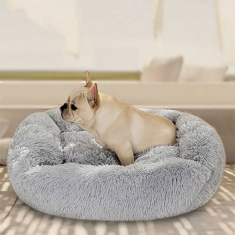 bouledogue francais assis sur coussin pour chien hydrofuge peluche douce