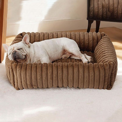 bouledogue francais couché dans lit chien marron foncé frippon