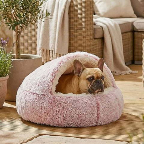 bouledogue francais couché dans panier à chien rose cookie