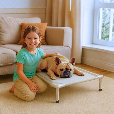 bouledogue français couché sur lit de camp chien beige aventure