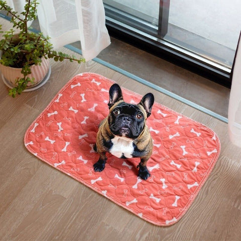 bouledogue francais couché sur tapis absorbant chien rouge nenos
