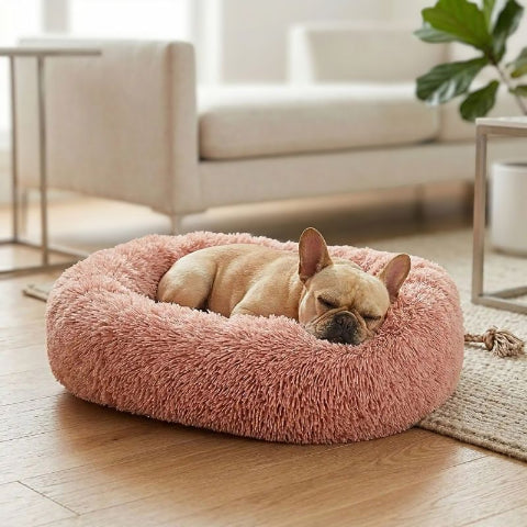 bouledogue français endormi sur coussin pour chien rose peluche douce