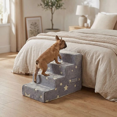 bouledogue français montant escalier chien lumiscalier 4 marches gris