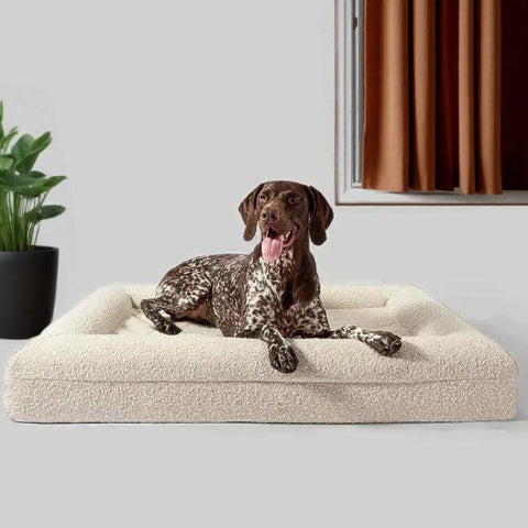 braque allemand allongé dans panier grand chien respirant dival