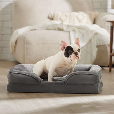 Bouledogue français sur un canapé chien Calinou gris avec mousse alvéolée dense