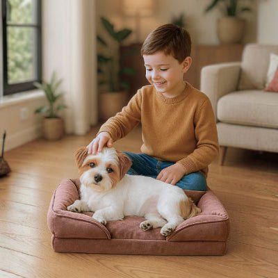 Enfant caresse un bichon sur canapé chien Calinou marron avec une housse lavable
