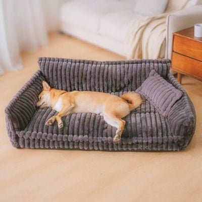 Shiba inu allongé sur un canapé chien Luxus gris foncé antidérapant et lavable