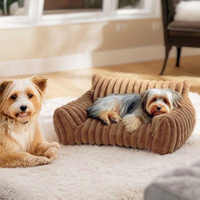 Yorkshire terrier couché sur un canapé chien Moumoute marron au confort luxueux