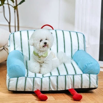 Bichon maltais assis sur un canapé chien Rayola bleu et blanc déhoussable