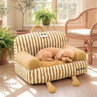 Caniche nain endormi sur un canapé lit chien Bibounet marron au design raffiné