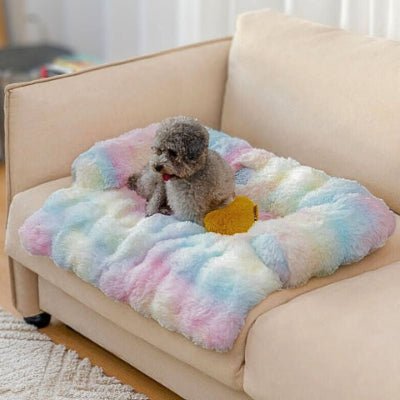 Caniche couché sur un canapé lit chien Fluffy pastel avec base imperméable