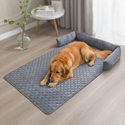 golden retriever allongé sur un canapé lit pour chien gris foncé lavable