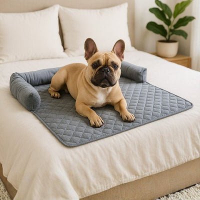 bouledogue français couché sur un canapé lit pour chien gris clair respirant