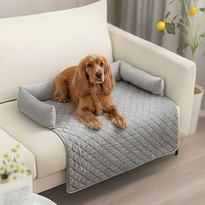 cocker anglais couché sur un canapé lit pour chien gris clair qui protège