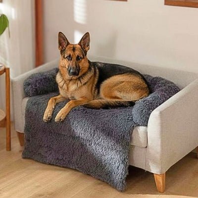 berger allemand couché sur un canapé lit pour chien gris foncé hypoallergénique