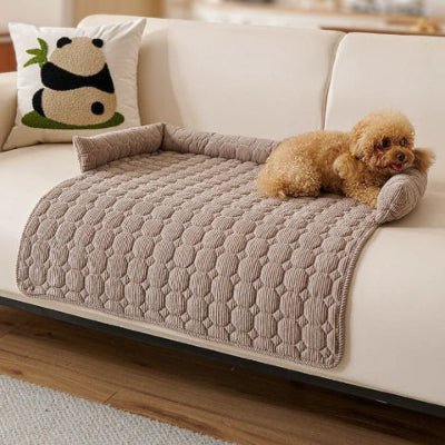 caniche couché sur un canapé pour chien marron avec un design élégant