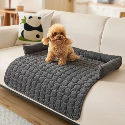 caniche assis sur un canapé pour chien gris foncé lavable en machine