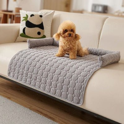caniche assis sur un canapé pour chien gris clair résistant aux griffes