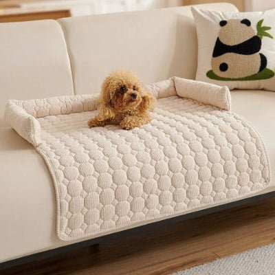 caniche couché sur un canapé pour chien beige en velours côtelé