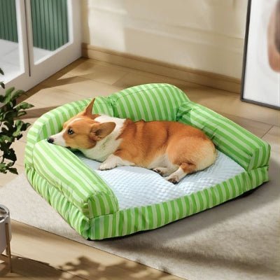 Corgi allongé sur un canapé pour chien Pastek rayé vert moelleux