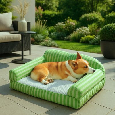 Corgi sur un canapé pour chien Pastek rayé vert avec accoudoirs pour la tête