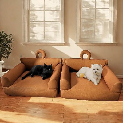 Un chat et un white terrier couchés chacun sur canapé Somnol pour chien marron
