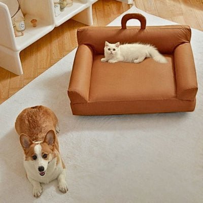Corgi couché devant canapé pour chien Somnol marron où se trouve un chat blanc