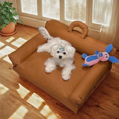 Bichon maltais couché sur un canapé pour chien Somnol marron luxueux