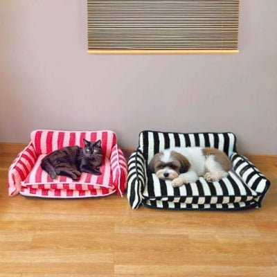 Bichon maltais et un chat couchés sur canapé pour chien Zebro noir et un rouge