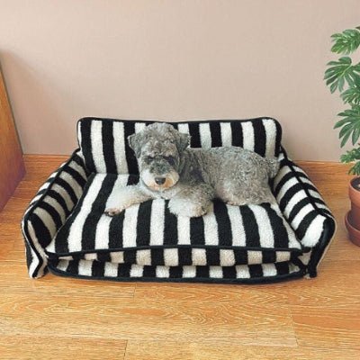 Caniche toy couché sur un canapé pour chien Zebro noir avec mousse alvéolée