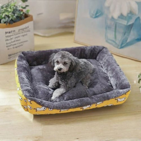 caniche allongé dans panier pour chien jaune chouette