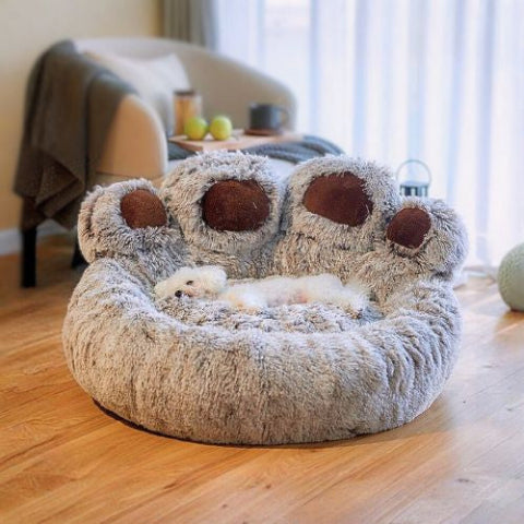 caniche allongé dans panier pour chien marron dégradé patte